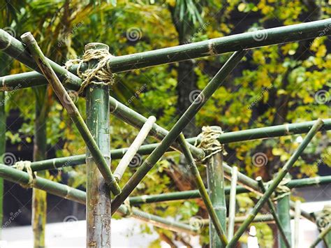 Tied Rope Circle On The Bamboo Pole Stock Image Image Of Natural