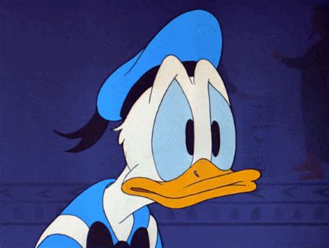 Funny Pictures Of Donald Duck