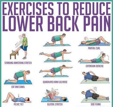 Sitting at your desk all day doesn't do you any favors, but luckily, stretches you can do while sitting in your chair will help. Exercises For Low Back Pain - Complete Fitness Design
