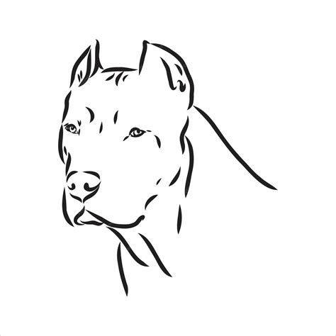 Detalle 59 Imagen Dibujos De Perros Pitbull Cachorros Thptletrongtan