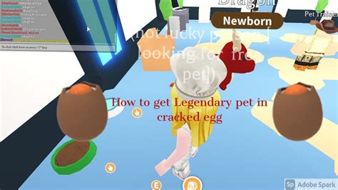 How To Get Legendary Pet In Cracked Egg Adopt Me Youtube