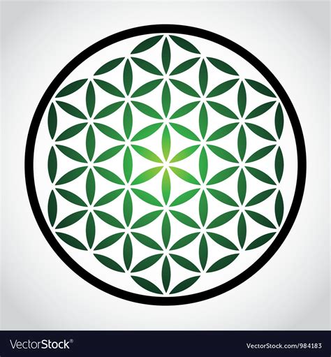 Flower Of Life Royalty Free Vector Image Vectorstock