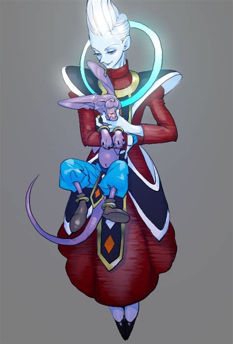 The gods of dragon ball are always interesting, as akira toriyama has a particular talent for presenting deities that are unique to the usual depictions of gods, and beerus and whis are excellent examples. Pin su db gods & angels