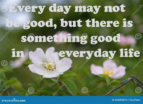 Every Day May Not Be Good But There Is Something Good In Everyday Life