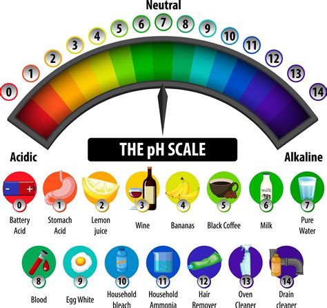 The Ph Scale Diagram On White Background 2988621 Vector Art At Vecteezy