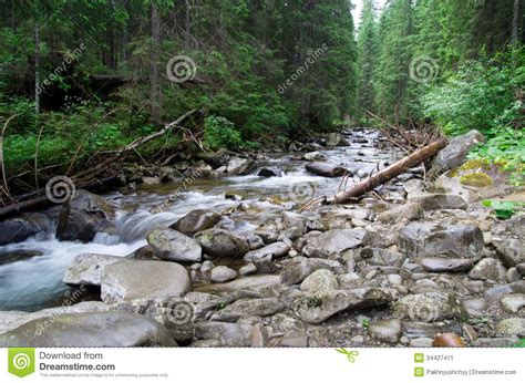 Forest Stock Image Image Of Light Rock Travel Peaceful 34427411