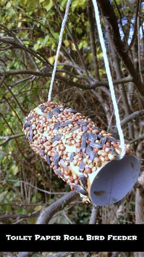 Easy Craft Toilet Paper Roll Bird Feeder