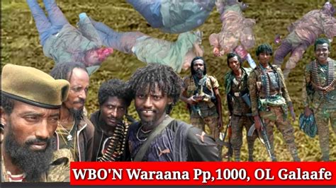 Oduu Injjifannoo Wbo Fi Olmaa Oromia Amajjii 62023 Youtube