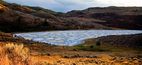 The Magical Spotted Lake Canada Charismatic Planet