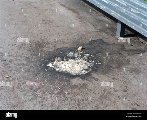 Street Vomit Hi Res Stock Photography And Images Alamy