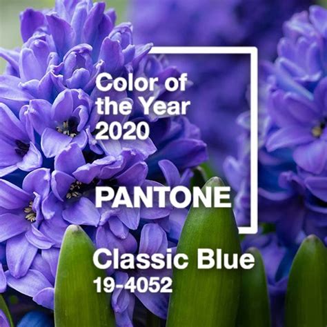 Pantone Just Announced The Colour Of The Year 2020 And Were Super