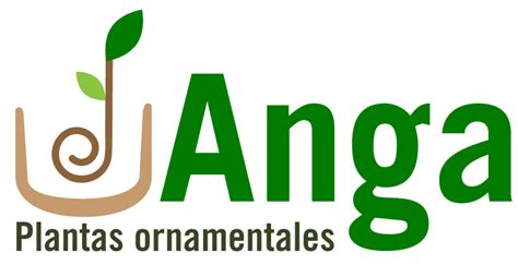 Anga Plantas Ornamentales Anga Plantas Ornamentales