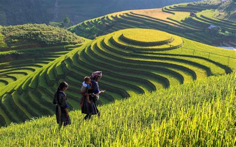 Lao Chai Village, Sapa: What to Do & See in This Instagram-worthy Spot?