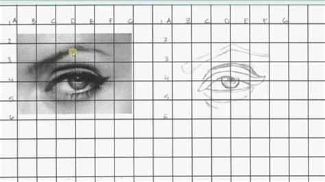 How To Draw Using The Grid Method Drawing Grid Drawings Beginner