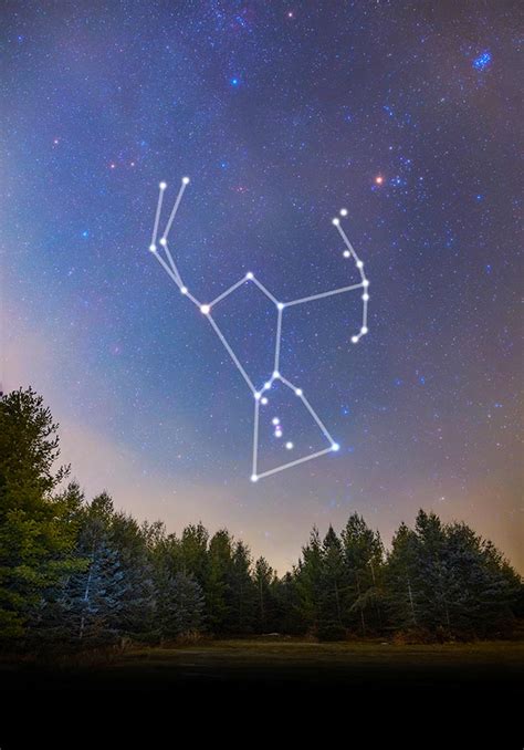 What Constellation Is Best Viewed In Summer