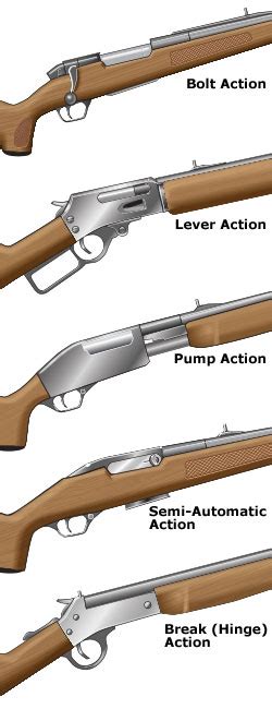 Common Actions On Rifles And Shotguns Hunter