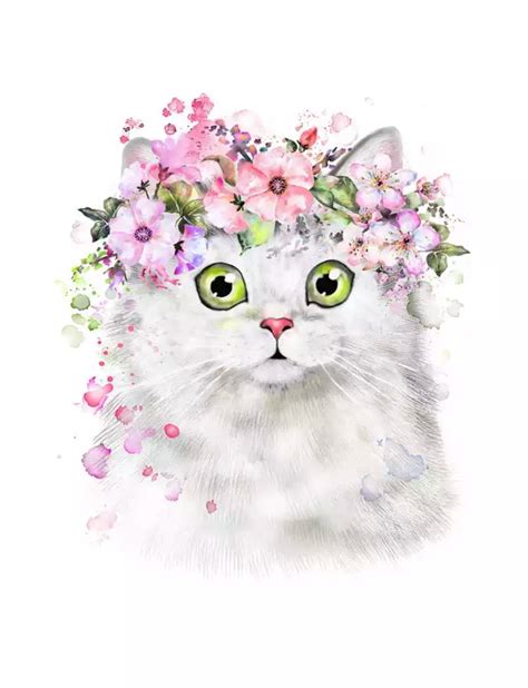 Cat Wearing Flower Crown Flower Crown Drawing Cat