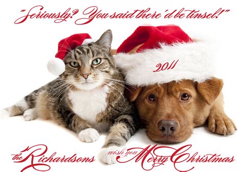 Photo Christmas Card Pets Dog Cat Pet Photo Card 7 X 5 On Luulla