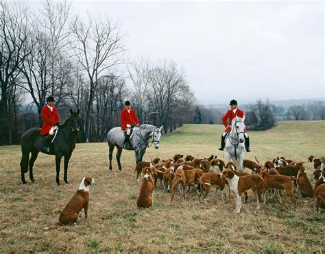 Foxhunting History Rules And Traditions Britannica