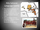 PPT - Issue 3: Distribution of Other Language Families PowerPoint ...