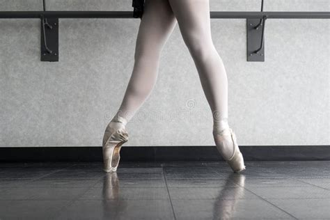 beautiful ballerina stands in ballet croise stock image image of profession ballet 116016167