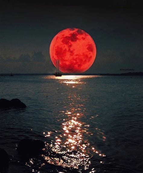 Rare Super Blue Blood Moon Eclipse Thrills Millions Around The World