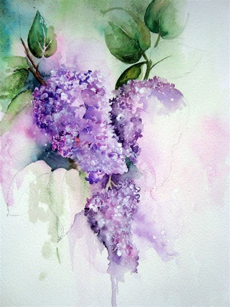Watercolor Of Lilac Blossom