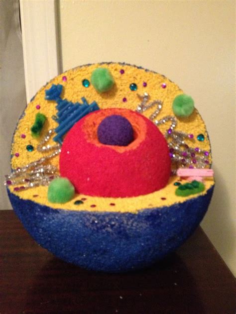 Maybe you would like to learn more about one of these? Animal cell | Plant/Animal Cell School Project | Pinterest ...