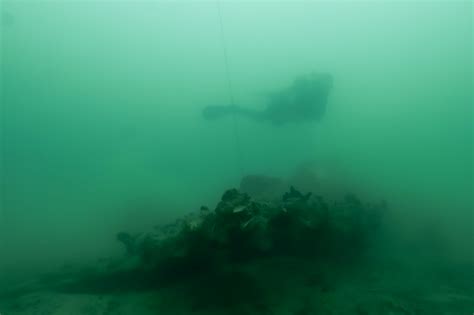 Wallpaper : bawah air, diving underwater, selam scuba, biologi kelautan