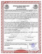 ⊛ Certificado de Matrimonio en México【2023