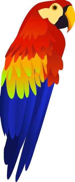 Download Colorful Parrot Png Images Download Hq Png Image In Different
