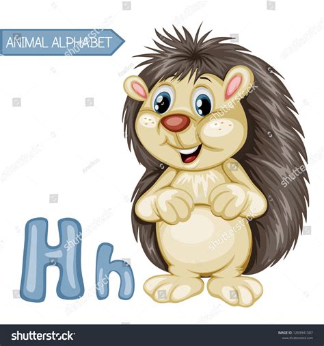 Animal Alphabet H Hedgehog Vector Illustration Stock Vector Royalty