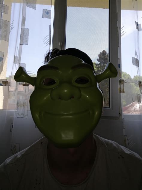 I Earned A Golden Shrek Mask Bros Rshrek