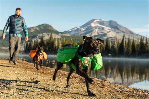 The result is 16 of the best hiking backpacks on the market in 2021. K9 Climb: 10 Best Hiking Backpacks For Dogs | HiConsumption