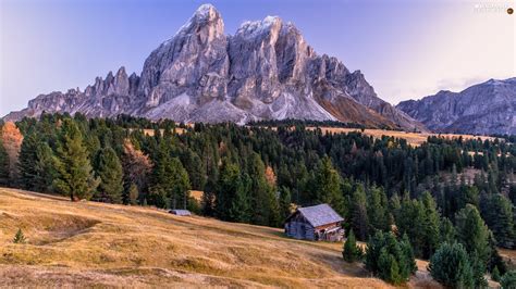 Forest Dolomites Viewes Mountains Italy Trees House For Desktop Wallpapers 1920x1080