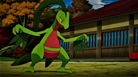 23 Fun And Interesting Facts About Grovyle From Pokemon Tons Of Facts