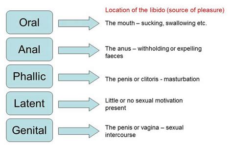 Freuds Stages Of Psychosexual Development Diagram Quizlet