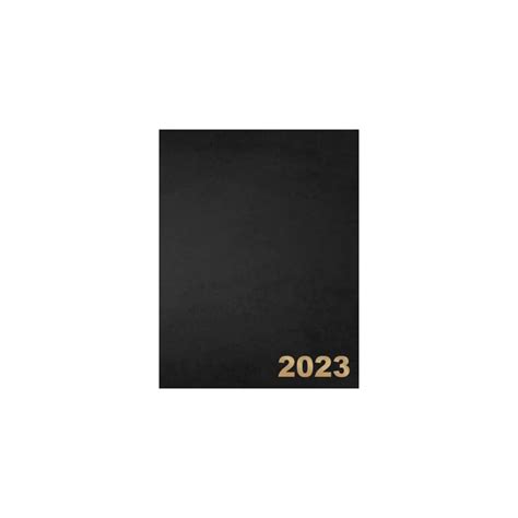 Buy 2023 Daily Planner Large Annual Diary 2023 One Page One Day 381
