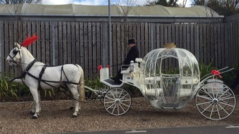 Horse Drawn Wedding Carriage Hire Kent London Surrey And Sussex