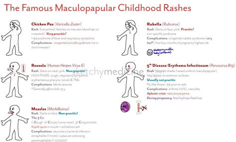 Maculopapular Rash Pictures Causes Diagnosis