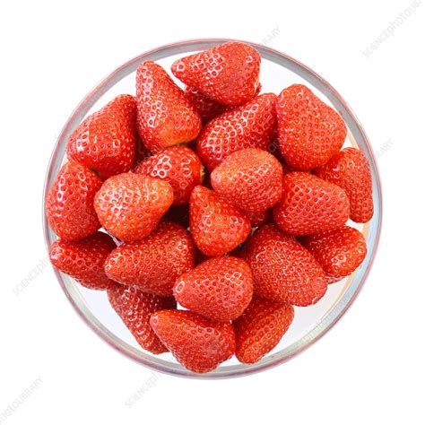 Strawberries In Bowl Stock Image F0192743 Science Photo Library