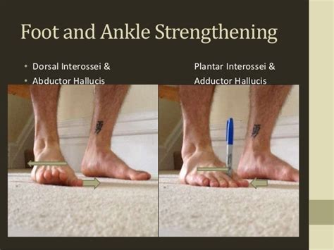 Foot And Ankle Strengthening Intrinsic