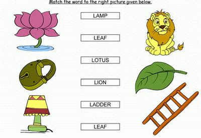Then i have to go shopping and when the kids are back home i have to help them with their homework. Match the words starting with l