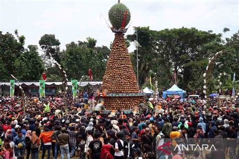 Pesta Kenduren Durian Di Wonosalam Antara News
