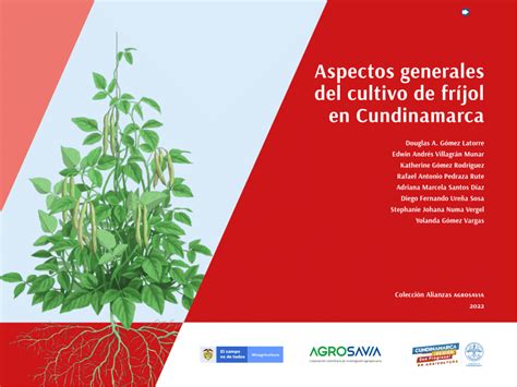 Pdf Aspectos Generales Del Cultivo De Fríjol En Cundinamarca