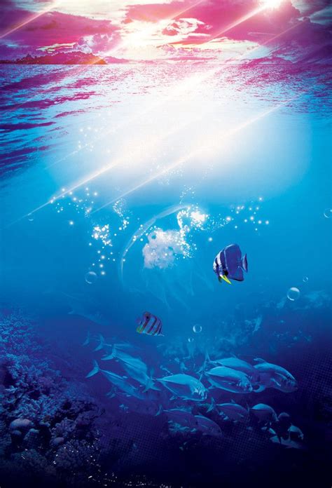 When autocomplete results are available use up and down arrows to review and enter to select. Aesthetic Underwater World Background | Underwater world ...