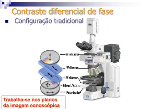 PPT Microscopia De Contraste Diferencial De Fase PowerPoint