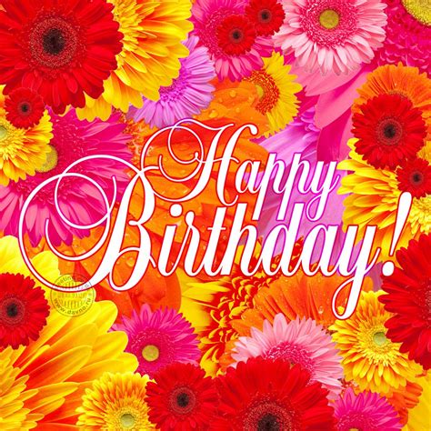 Enjoy these flower images with red roses. Bright Flowers Happy Birthday Card — Download on Funimada.com