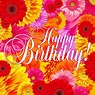Bright Flowers Happy Birthday Card — Download on Funimada.com