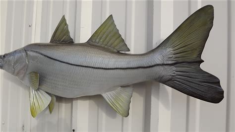 36 Inch Snook Mount 36 Inch Snook Full Mount